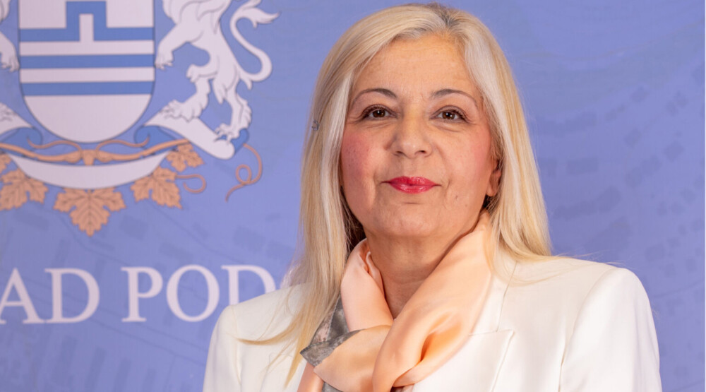 Despotović: Rezervoari su skuplji, kese iz prodavnice sve praznije