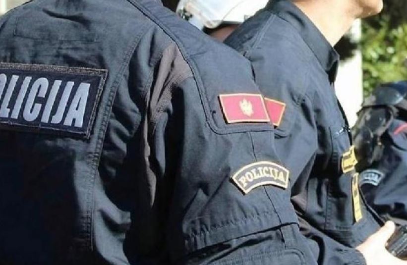 Kontrolisana 222 strana državljana, prema 39 preduzete zakonske mjere