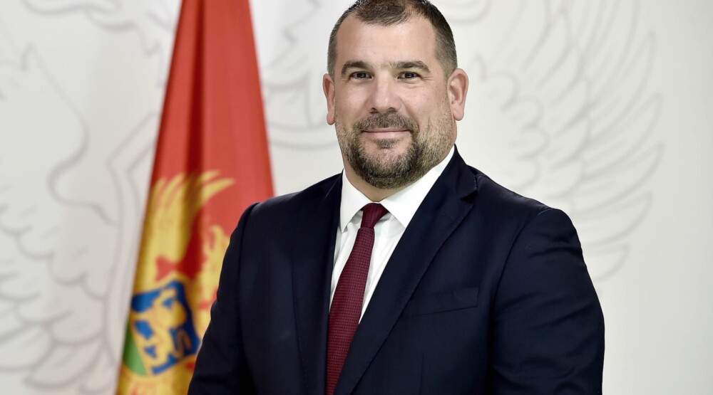 Krapović o Raduloviću i Zirojeviću: Razobličena koordinacija aktivnosti i nastupa, definicija hibridnog djelovanja