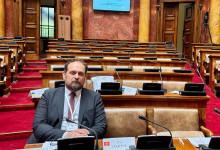 gordan stojovic