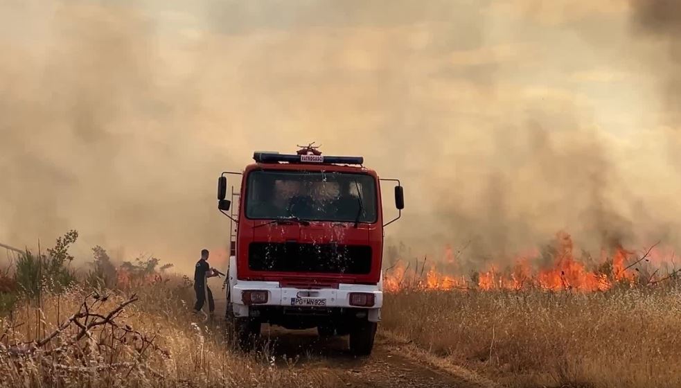 Lokalizovan požar na Ćemovskom polju