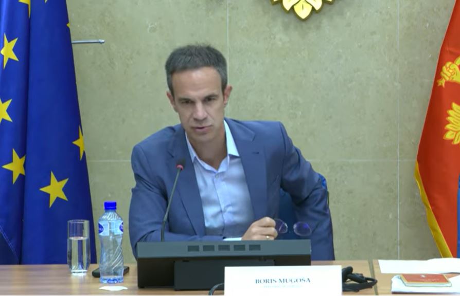 Mugoša: Biće održano saslušanje nadležnih na temu vršnjačkog nasilja
