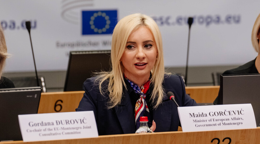 Gorčević: Vlada i parlament neće imati odmor zbog zatvaranja poglavlja