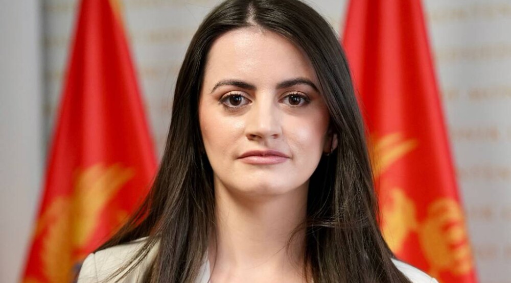 Vesković: Najavljene izmjene bezbjednosnih zakona prilika su za unaprjeđenje pojedinih rješenja