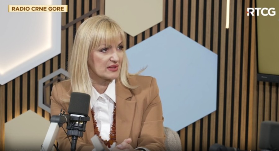Borovinić Bojović: U toku formiranje Građanskog pokreta Luča