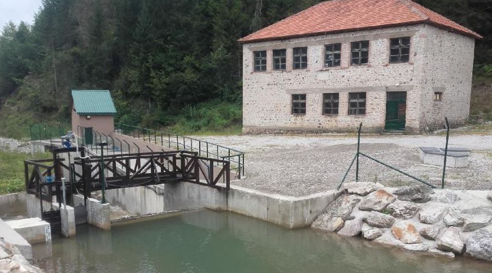 Rasvijetljeno ubistvo u Beranama, osumnjičen državljanin Azerbejdžana: Pretukao sunarodnika do smrti, sakrio tijelo i napustio Crnu Goru
