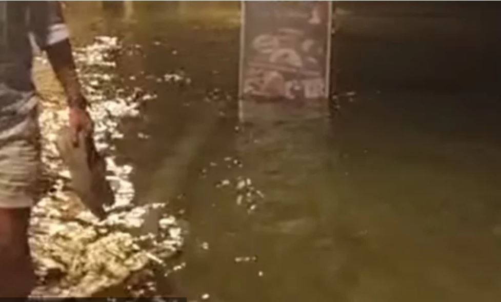 (VIDEO) Meteocunami na Hvaru: Turisti panično bježali, brodići dodirivali samo dno