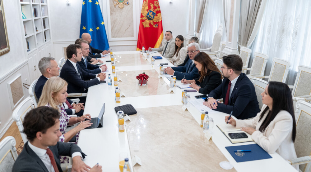 Mandić: Crna Gora ne traži prečice na putu ka EU