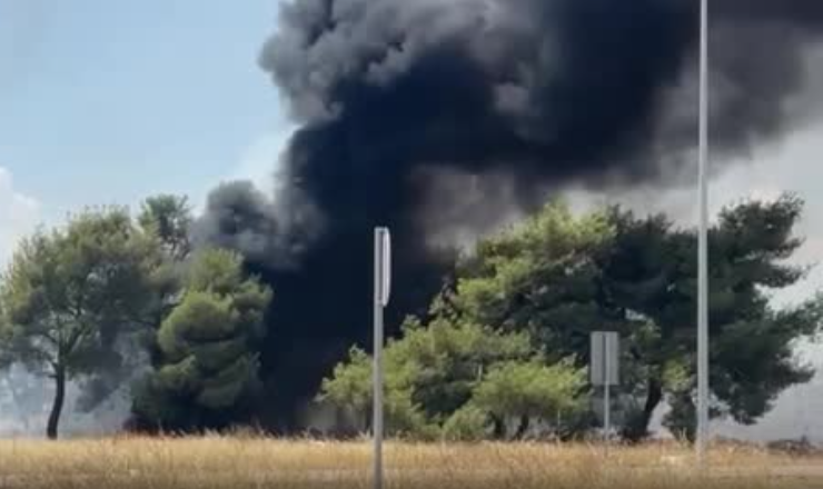 Vatrogasci na Vrelima Ribničkim, gori nisko rastinje