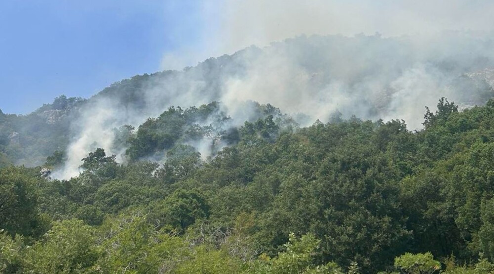 Vatra se približava kućama u Katunskoj nahiji, vatrogasci na izmaku snaga